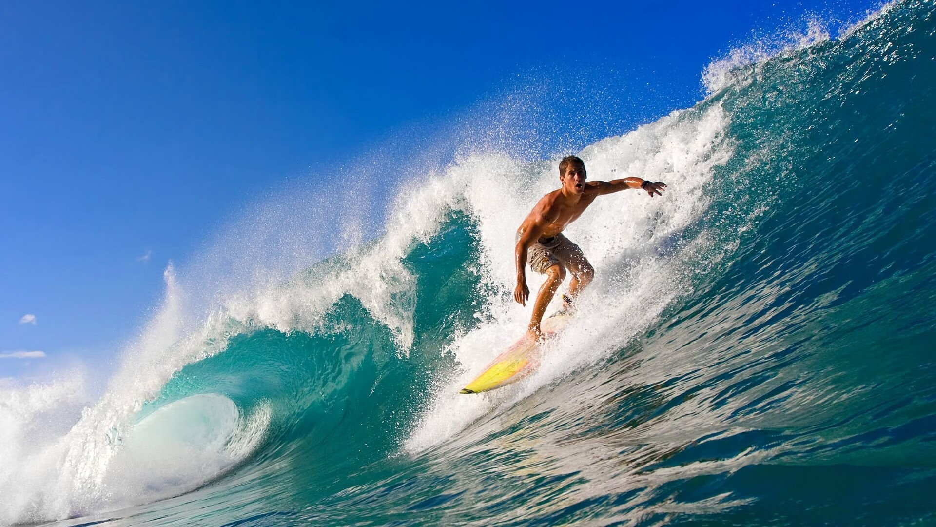 开云网址入口-“天赋与实力”——冠军车手的成长轨迹，冠军车手失忆是什么电影