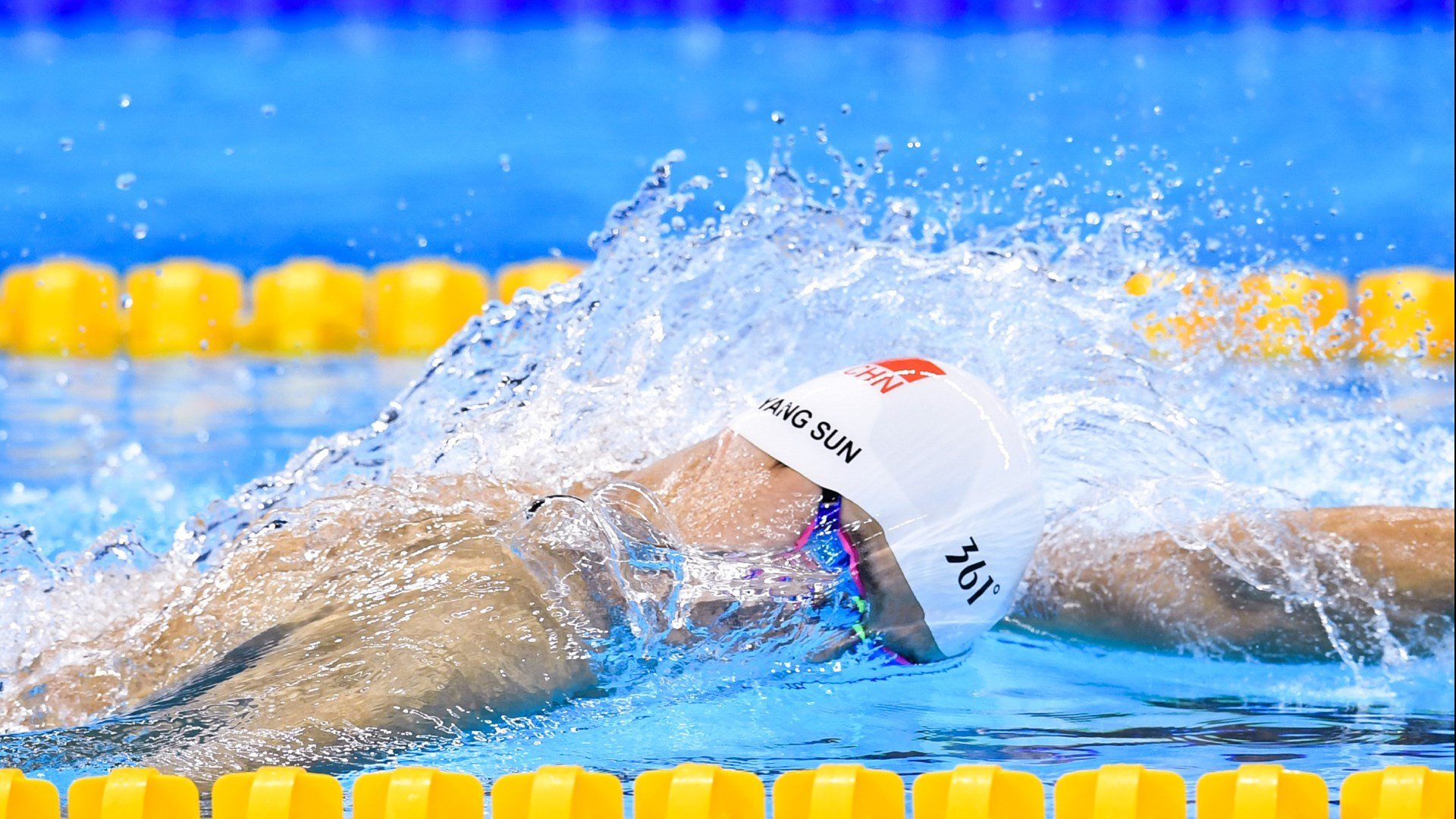 不伦瑞克狮王力挫群雄，蓄势待发再创佳绩